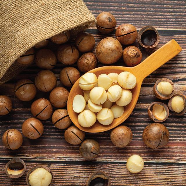macadamia