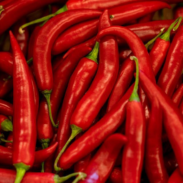 red chilli peppers